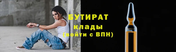 индика Струнино