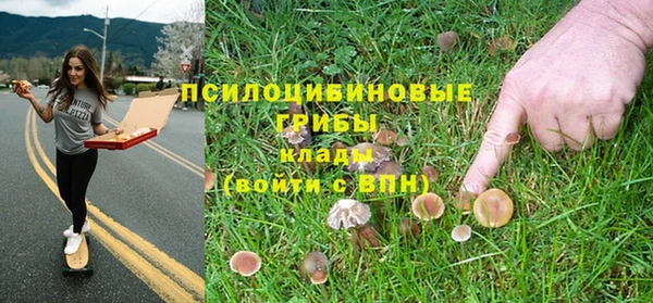 альфа пвп Горно-Алтайск