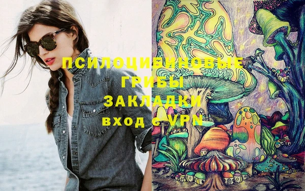 амф Вязники
